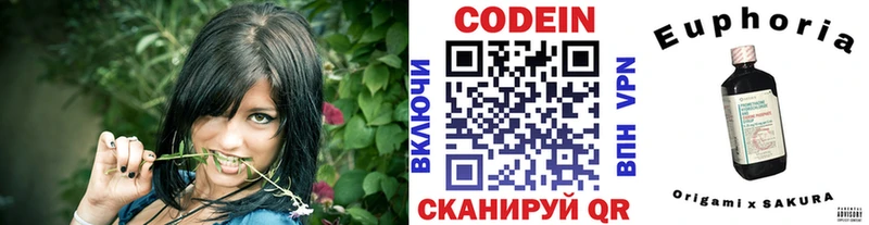 Купить закладки  Знаменск  Кодеиновый сироп Lean Purple Drank 