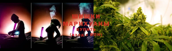 PSILOCYBIN Заволжье