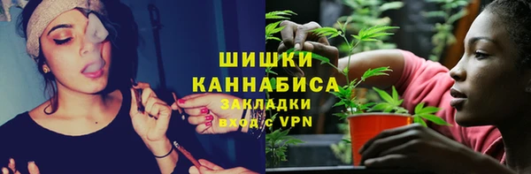 соль курить ск Заводоуковск