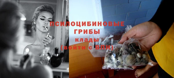 гашик Заволжск