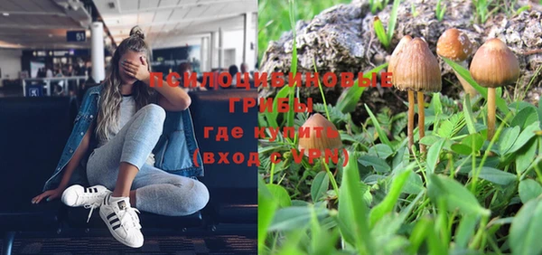 соль курить ск Заводоуковск