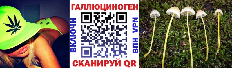 Купить закладки  Знаменск  Псилоцибиновые грибы прущие грибы 
